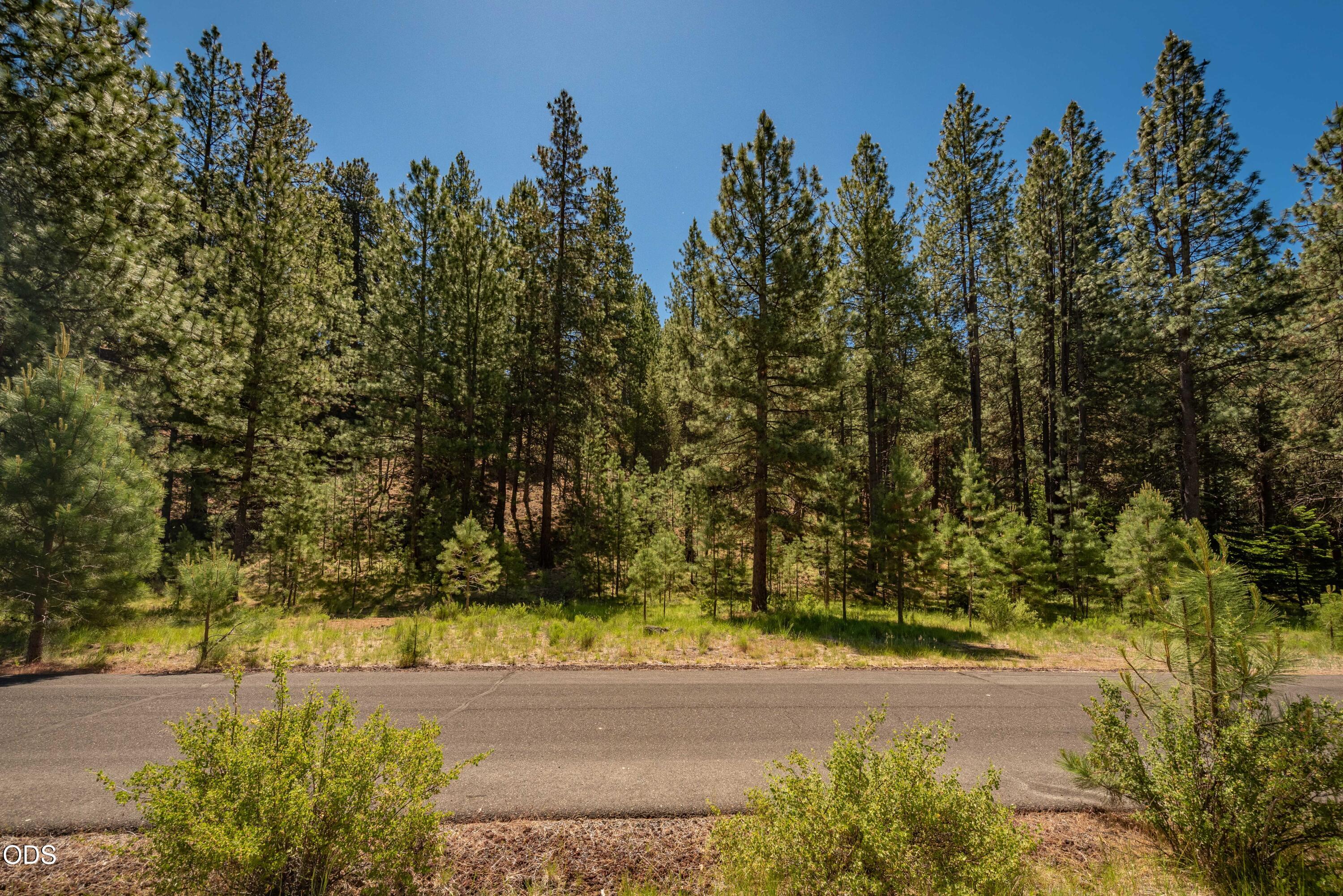 Undisclosed Address Bend, OR 97702 - Photo 5 of 26