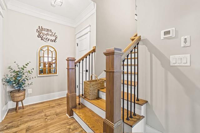 117 Alaina Road Canton, GA 30115 - Photo 27 of 35