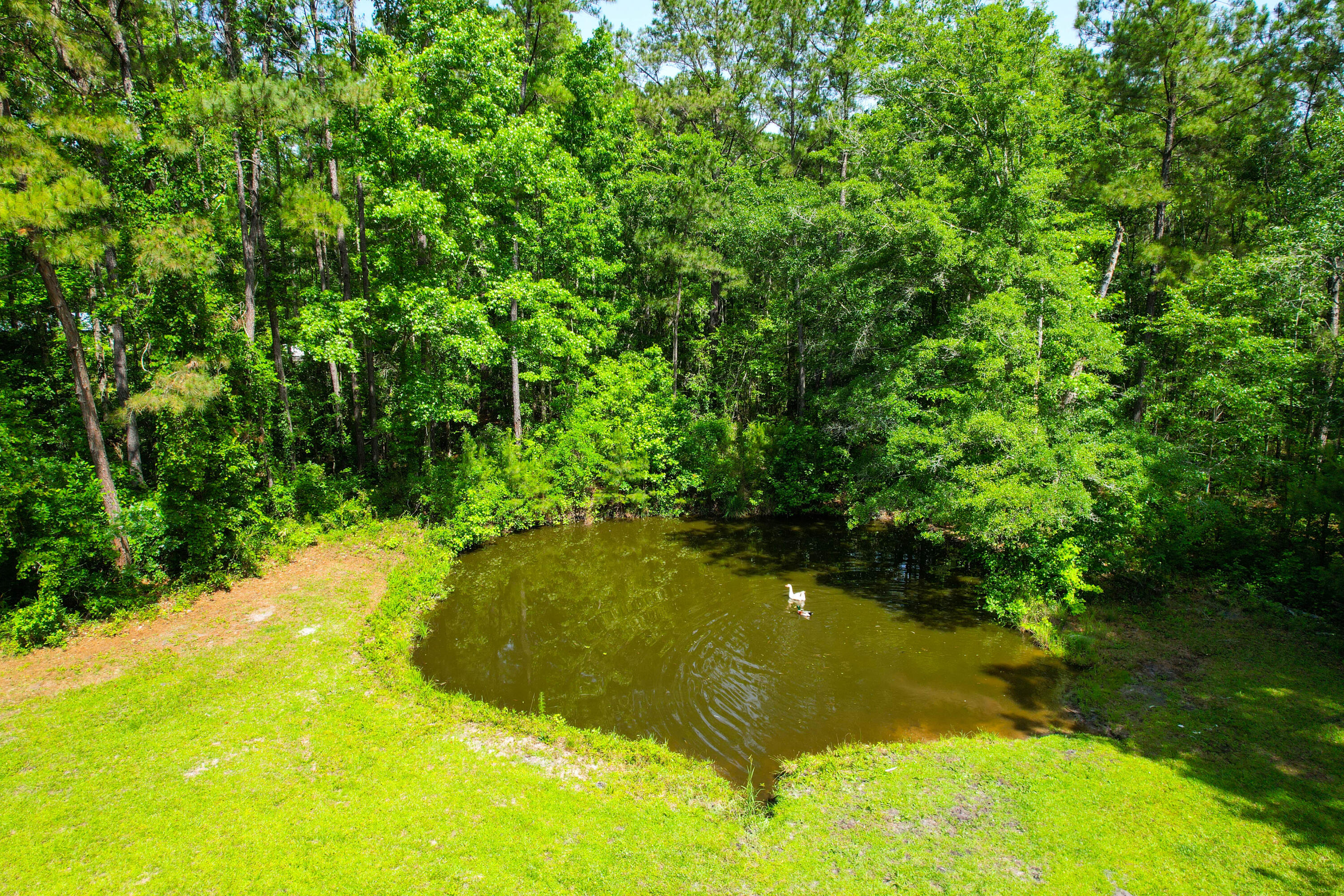 110 Copperhead Court Round O, SC 29474 - Photo 26 of 84 110 Copperhead Drone -Tidalcreekphoto- (
