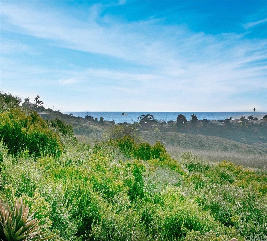 30 Santa Clara San Clemente, CA 92672 - Photo 2 of 31 Endless views all day long.