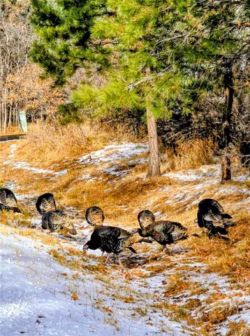 a view of a walk in the ocean