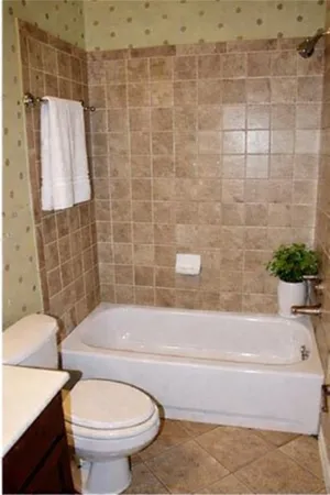 a bathroom with a toilet and a bathtub