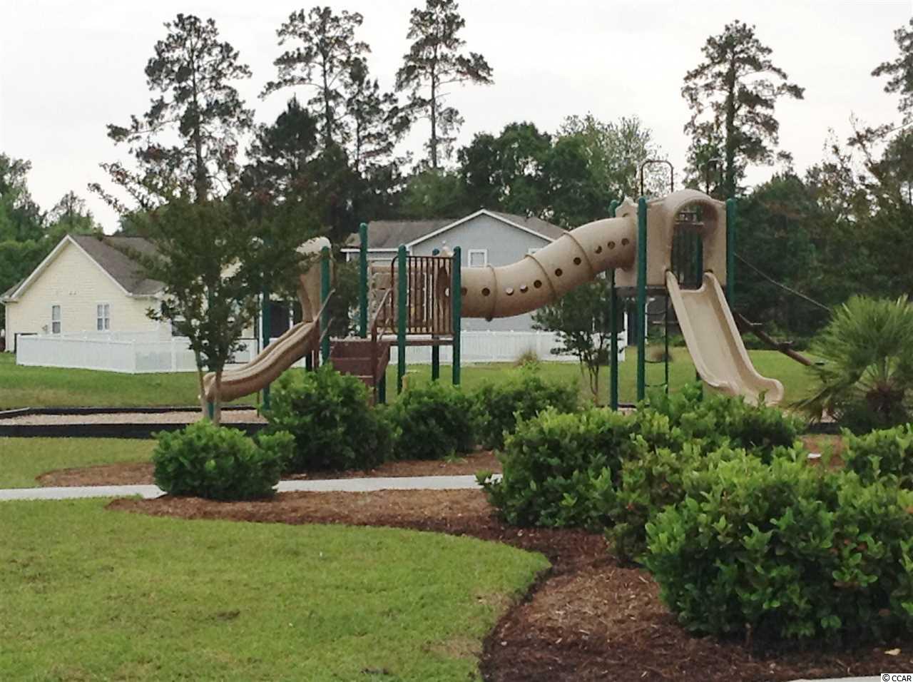 534 Ambrosia Loop Myrtle Beach, SC 29579 - Photo 18 of 18