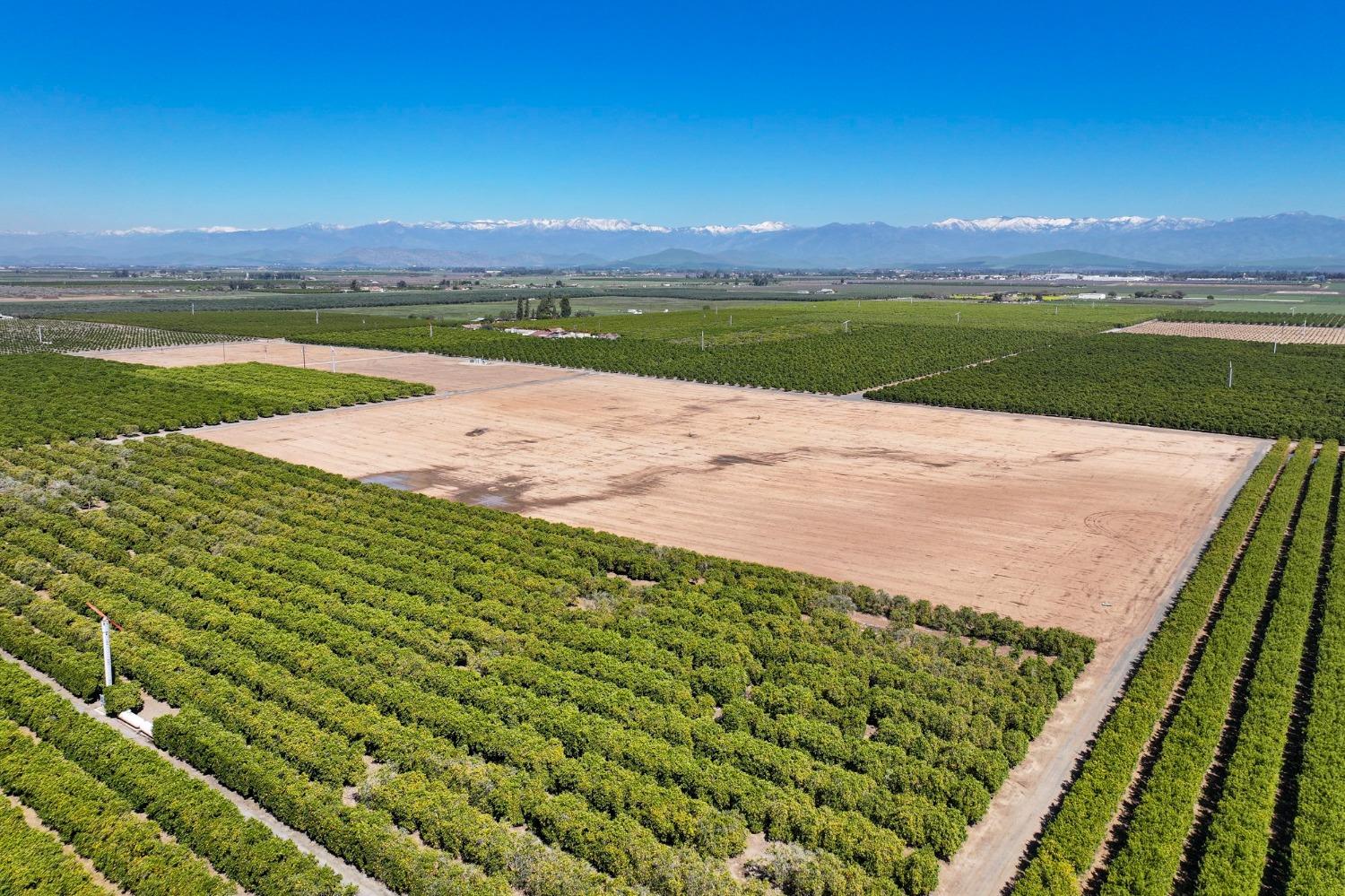 21865 Ave 92 Terra Bella, CA 93270 - Photo 13 of 24