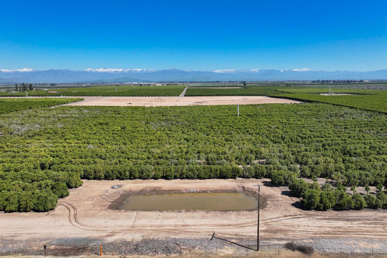 21865 Ave 92 Terra Bella, CA 93270 - Photo 15 of 24