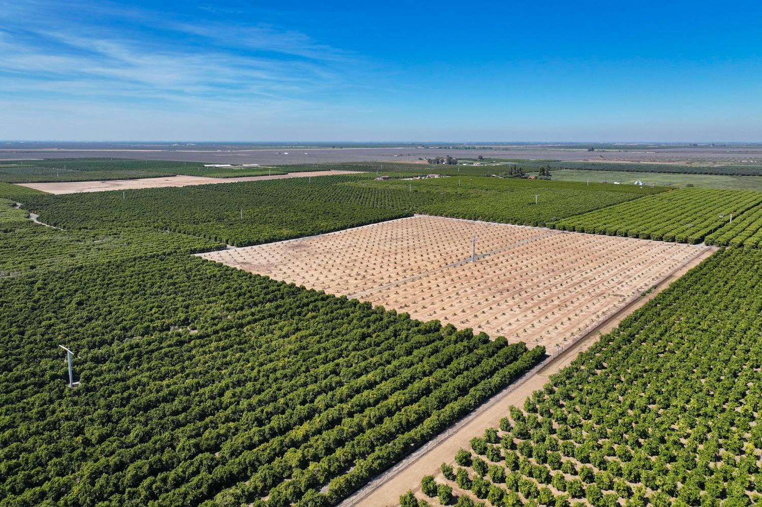 21865 Ave 92 Terra Bella, CA 93270 - Photo 16 of 24