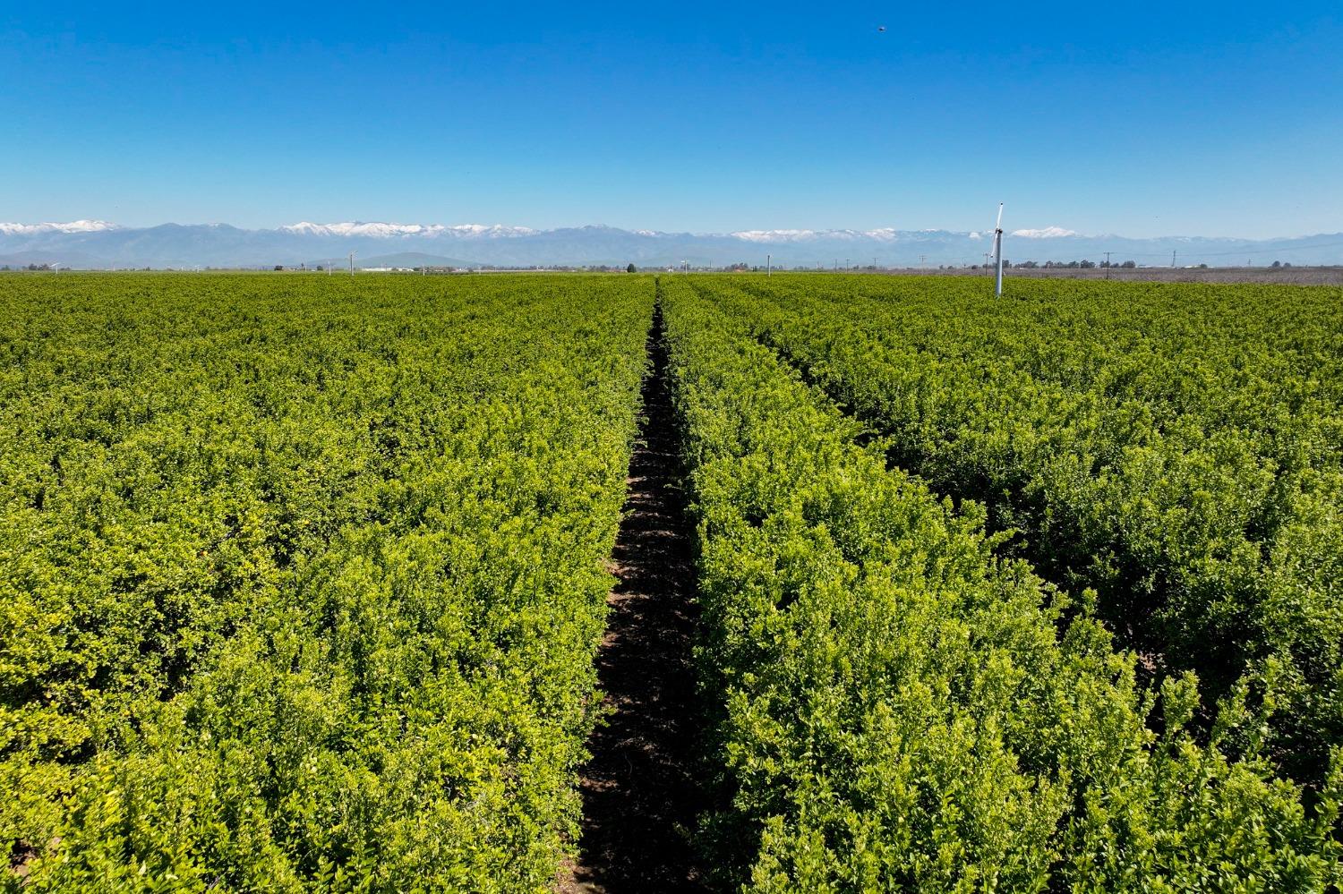 21865 Ave 92 Terra Bella, CA 93270 - Photo 17 of 24