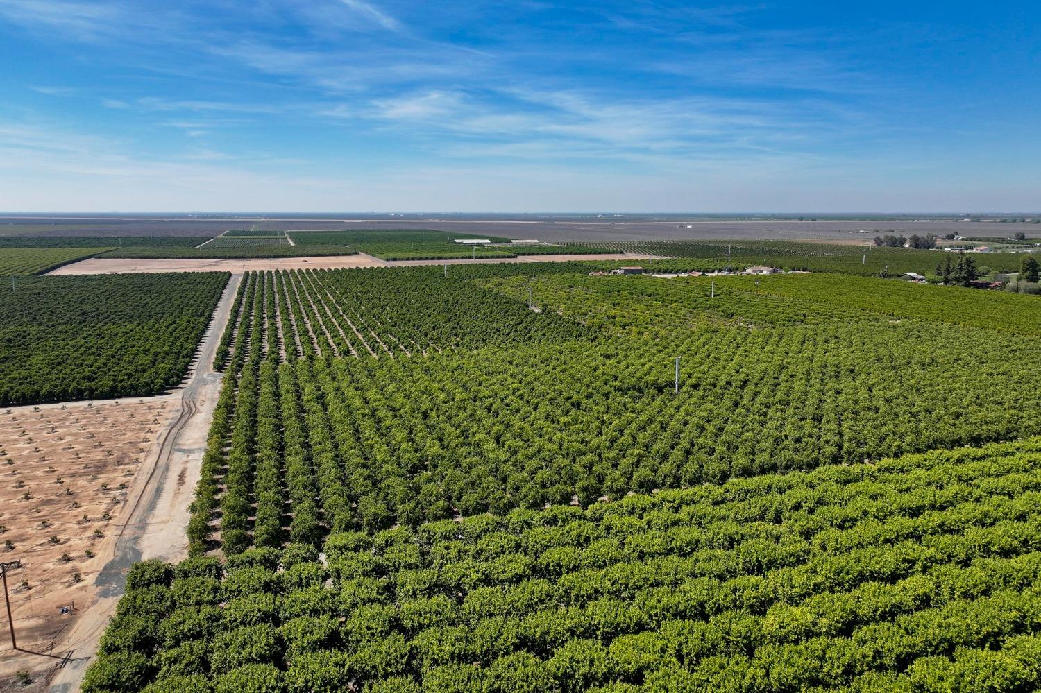 21865 Ave 92 Terra Bella, CA 93270 - Photo 18 of 24