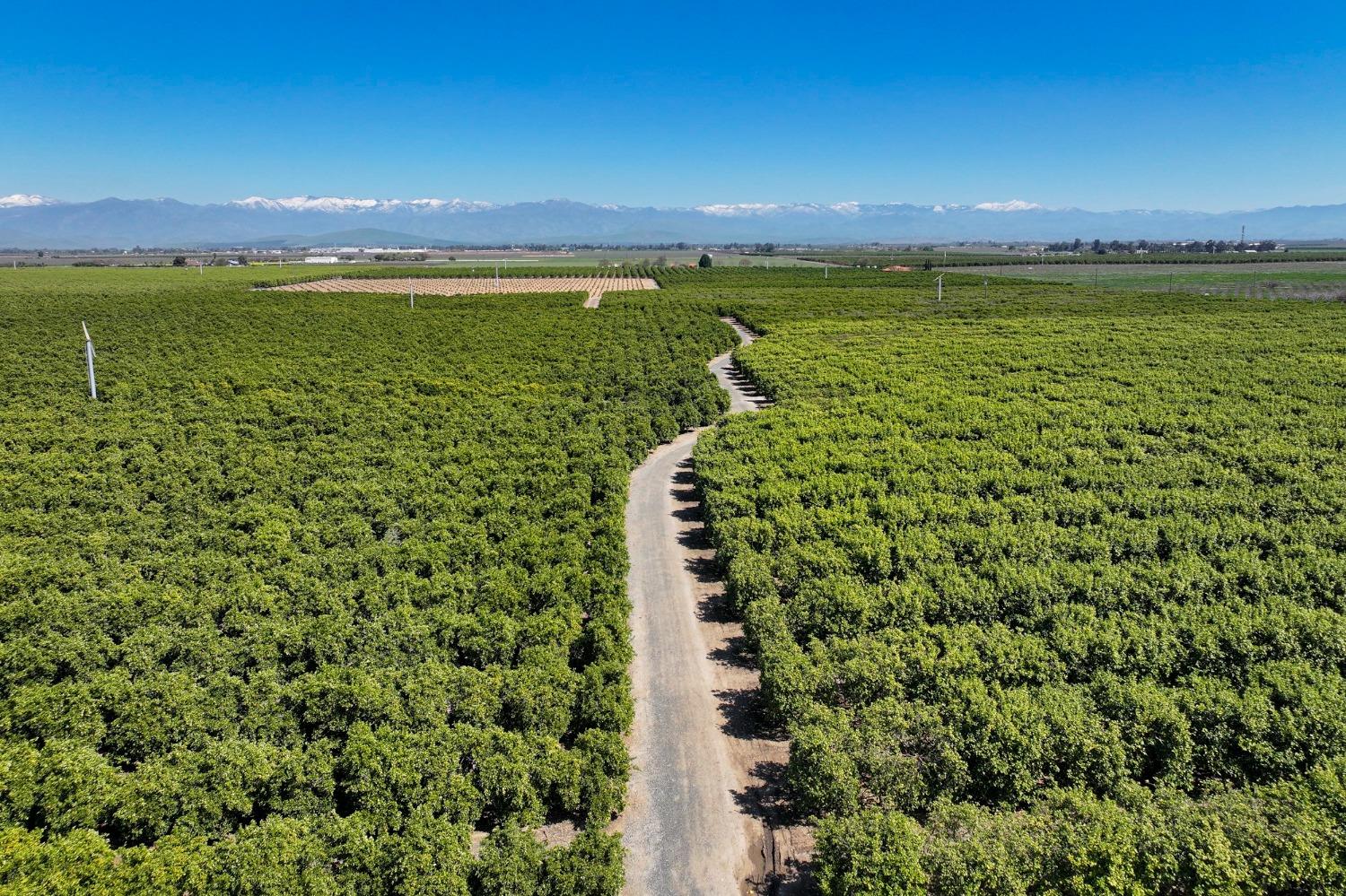 21865 Ave 92 Terra Bella, CA 93270 - Photo 2 of 24