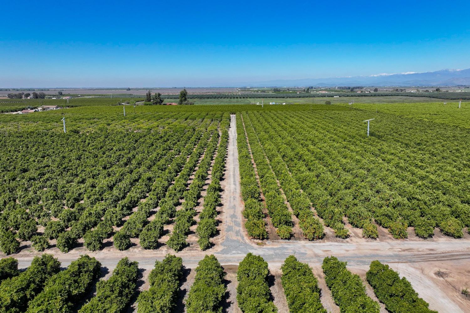 21865 Ave 92 Terra Bella, CA 93270 - Photo 4 of 24