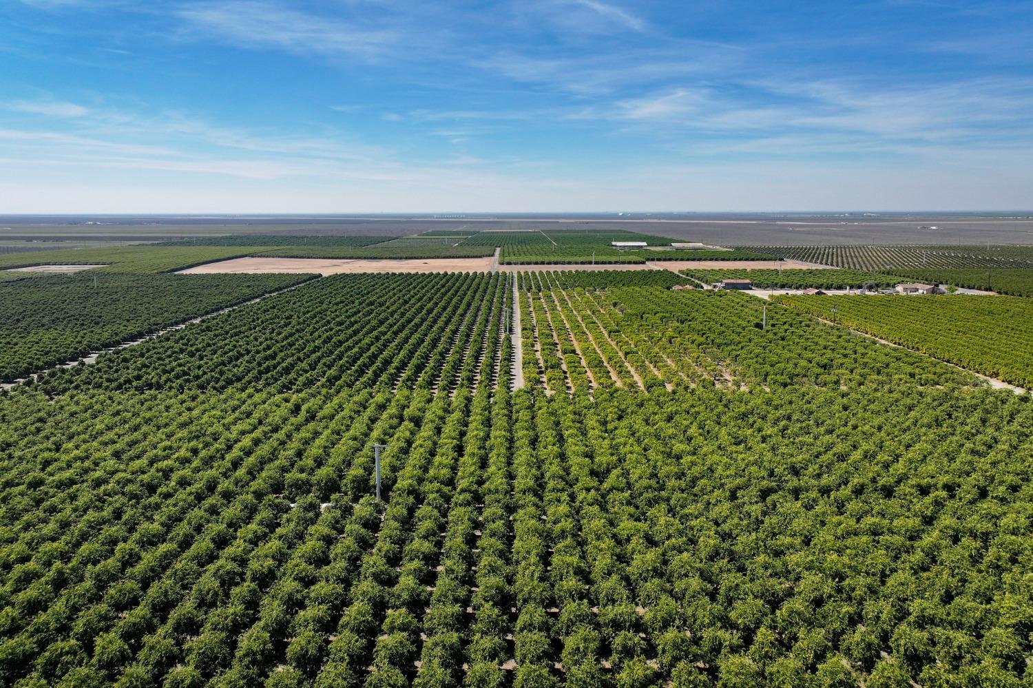 21865 Ave 92 Terra Bella, CA 93270 - Photo 5 of 24