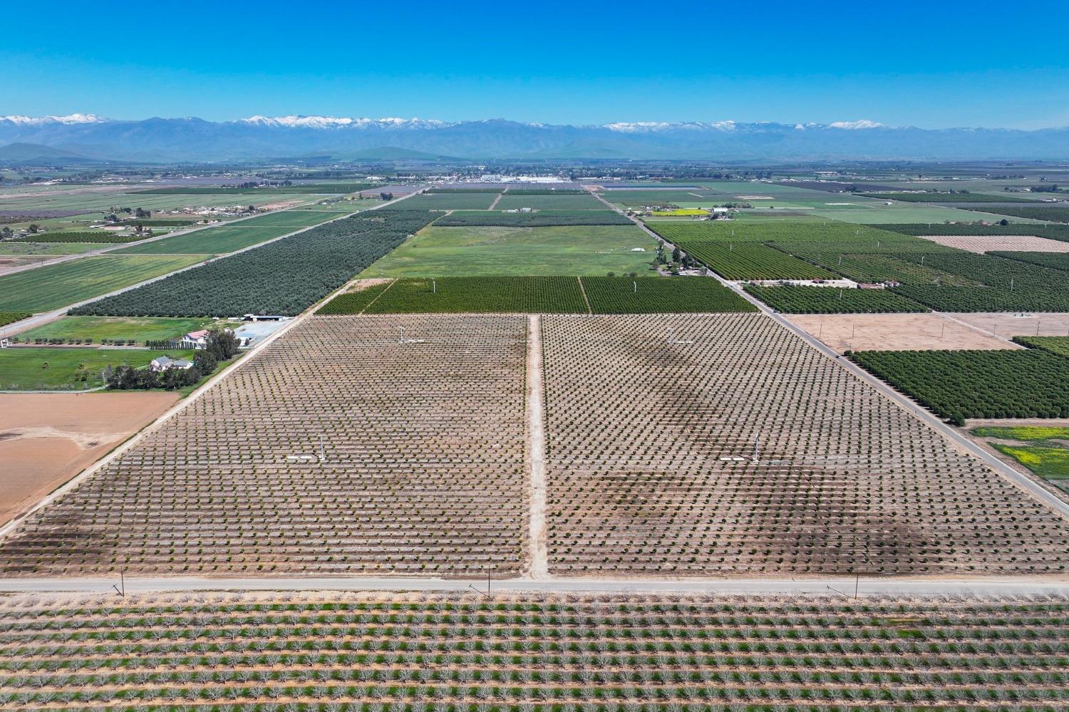 21865 Ave 92 Terra Bella, CA 93270 - Photo 6 of 24