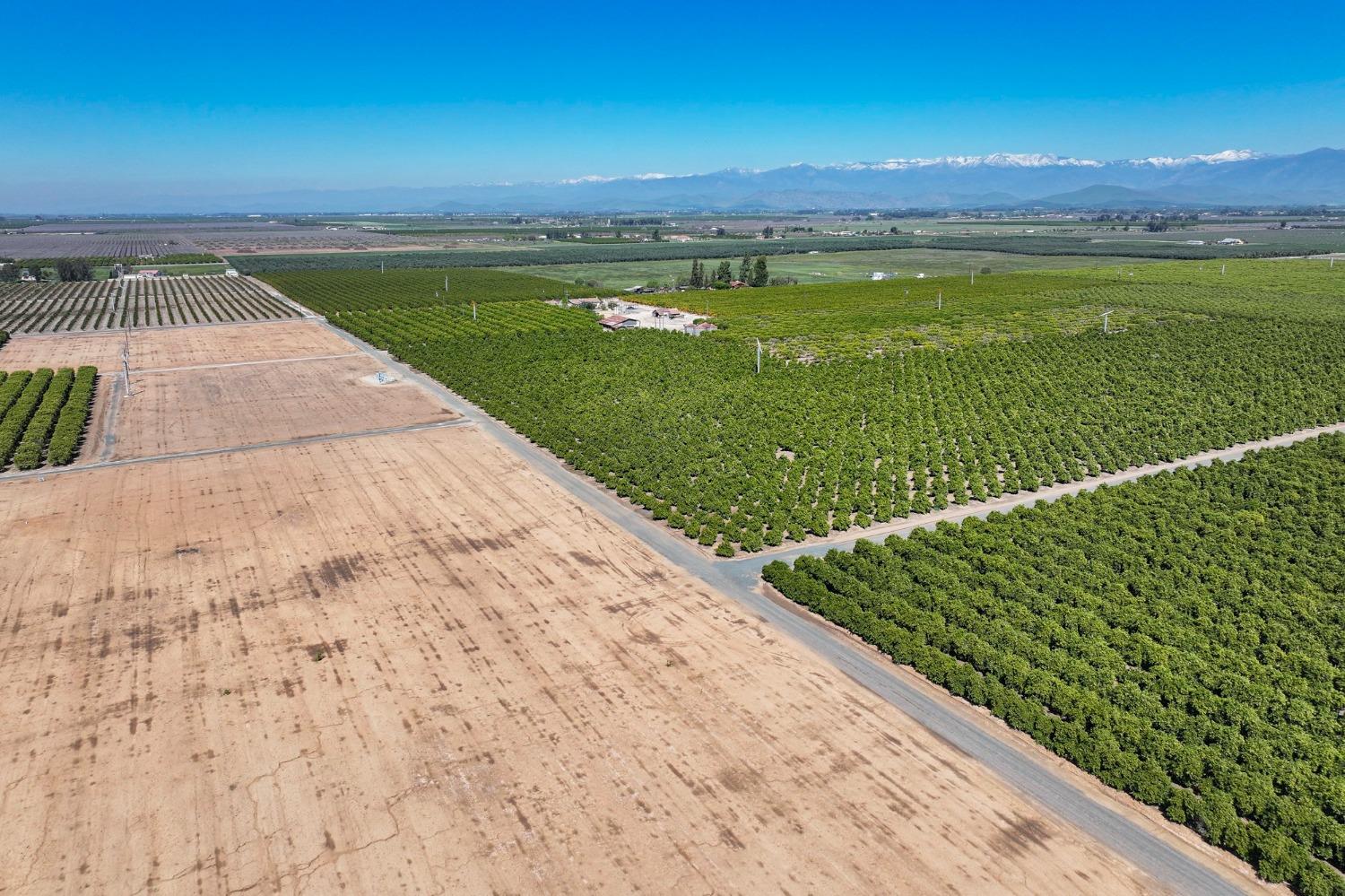 21865 Ave 92 Terra Bella, CA 93270 - Photo 7 of 24