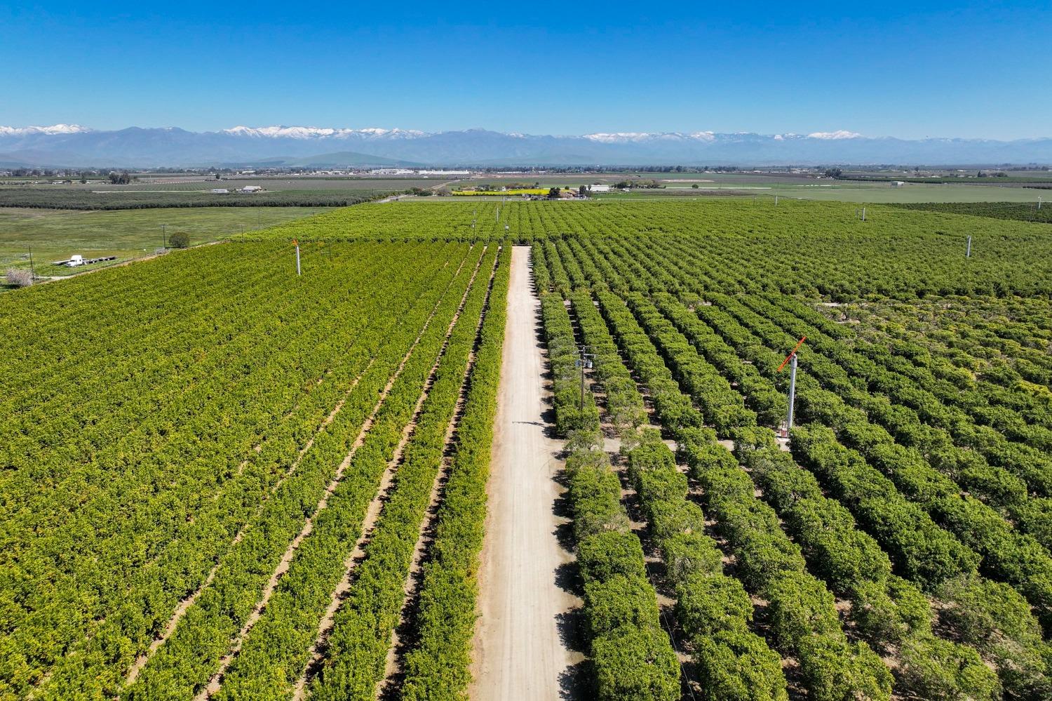 21865 Ave 92 Terra Bella, CA 93270 - Photo 8 of 24