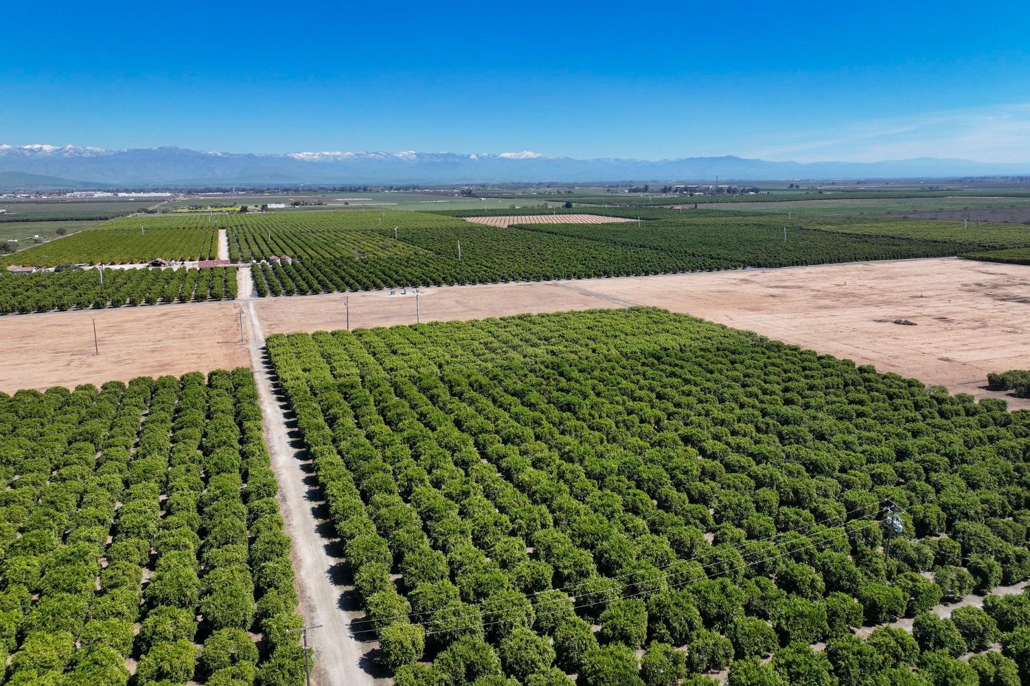 21865 Ave 92 Terra Bella, CA 93270 - Photo 9 of 24