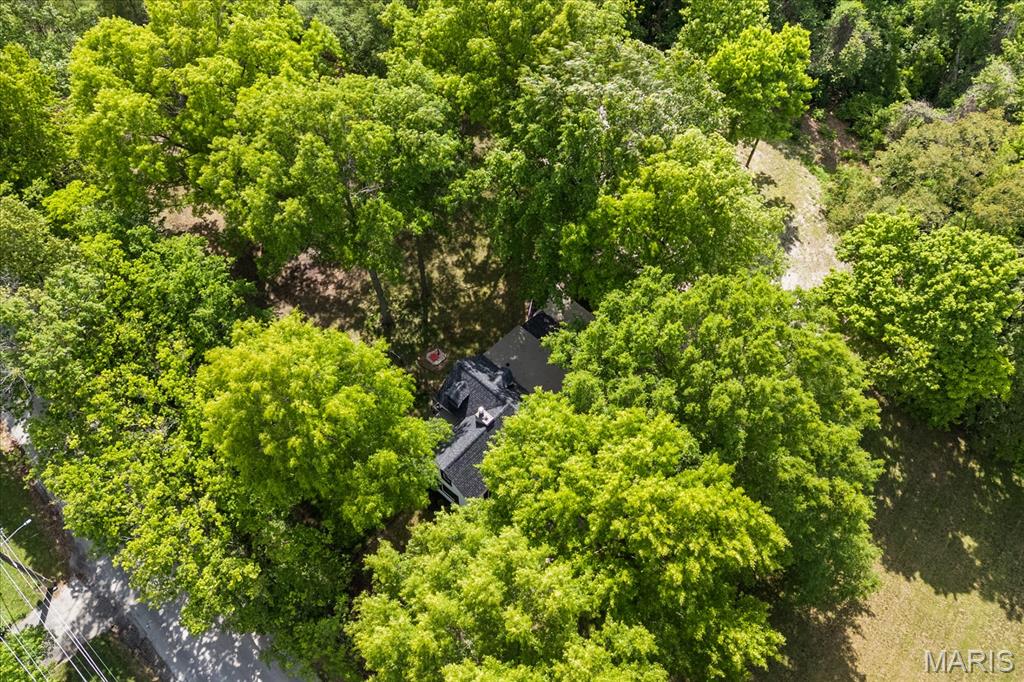 2913 Old Caseyville Road Swansea, IL 62226 - Photo 51 of 51