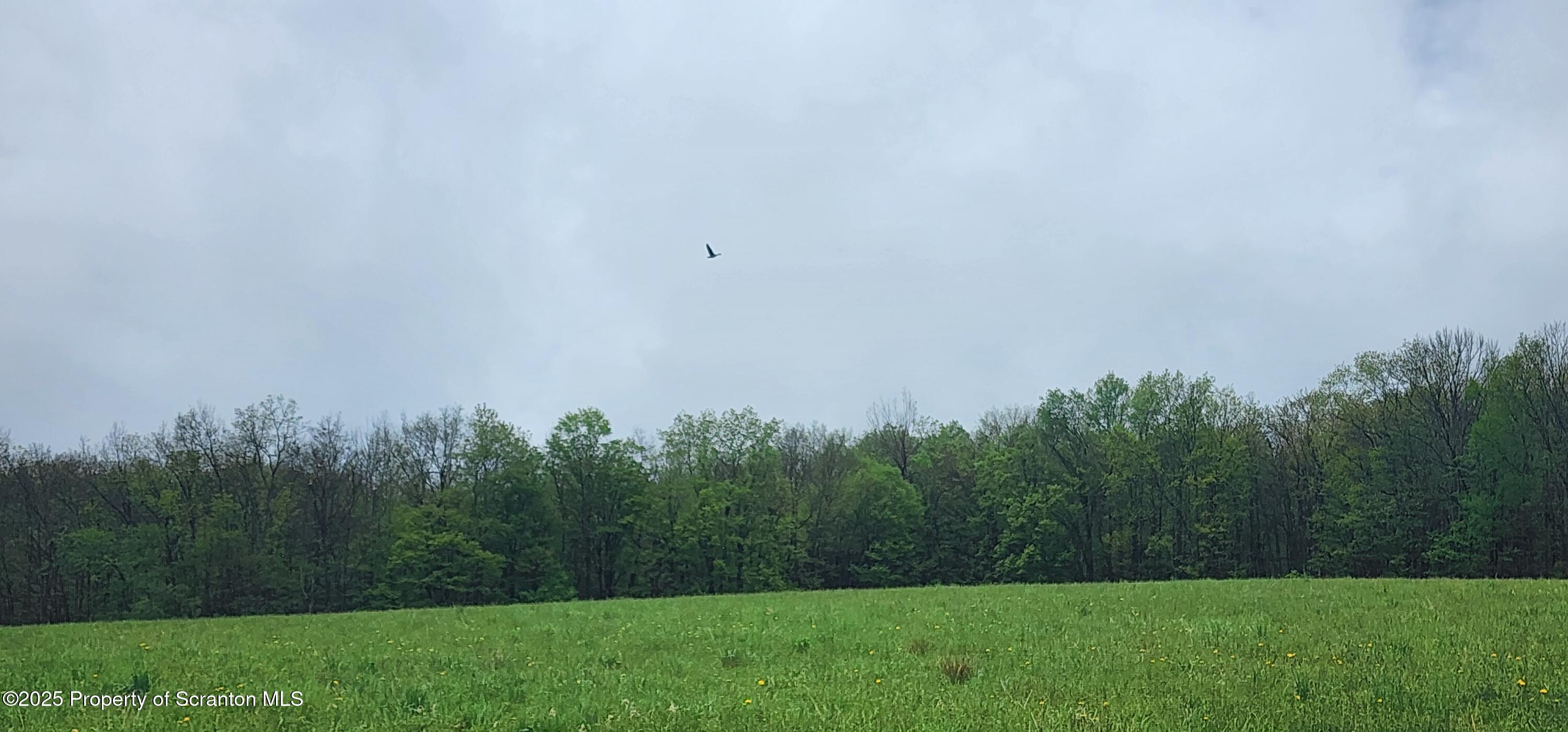 1065 Orphan School Road Kingsley, PA 18826 - Photo 13 of 53 20250503_130335