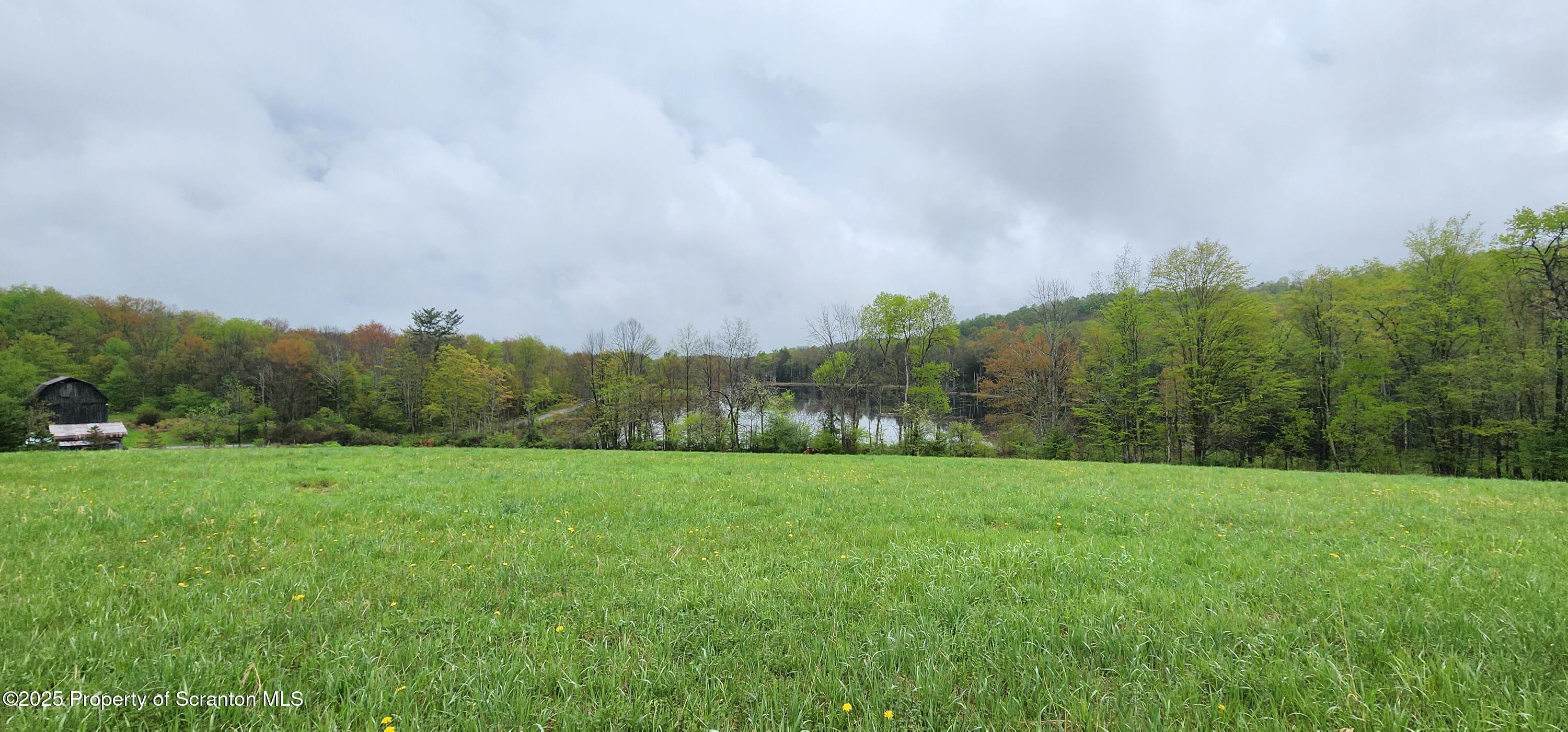 1065 Orphan School Road Kingsley, PA 18826 - Photo 14 of 53 20250503_130516