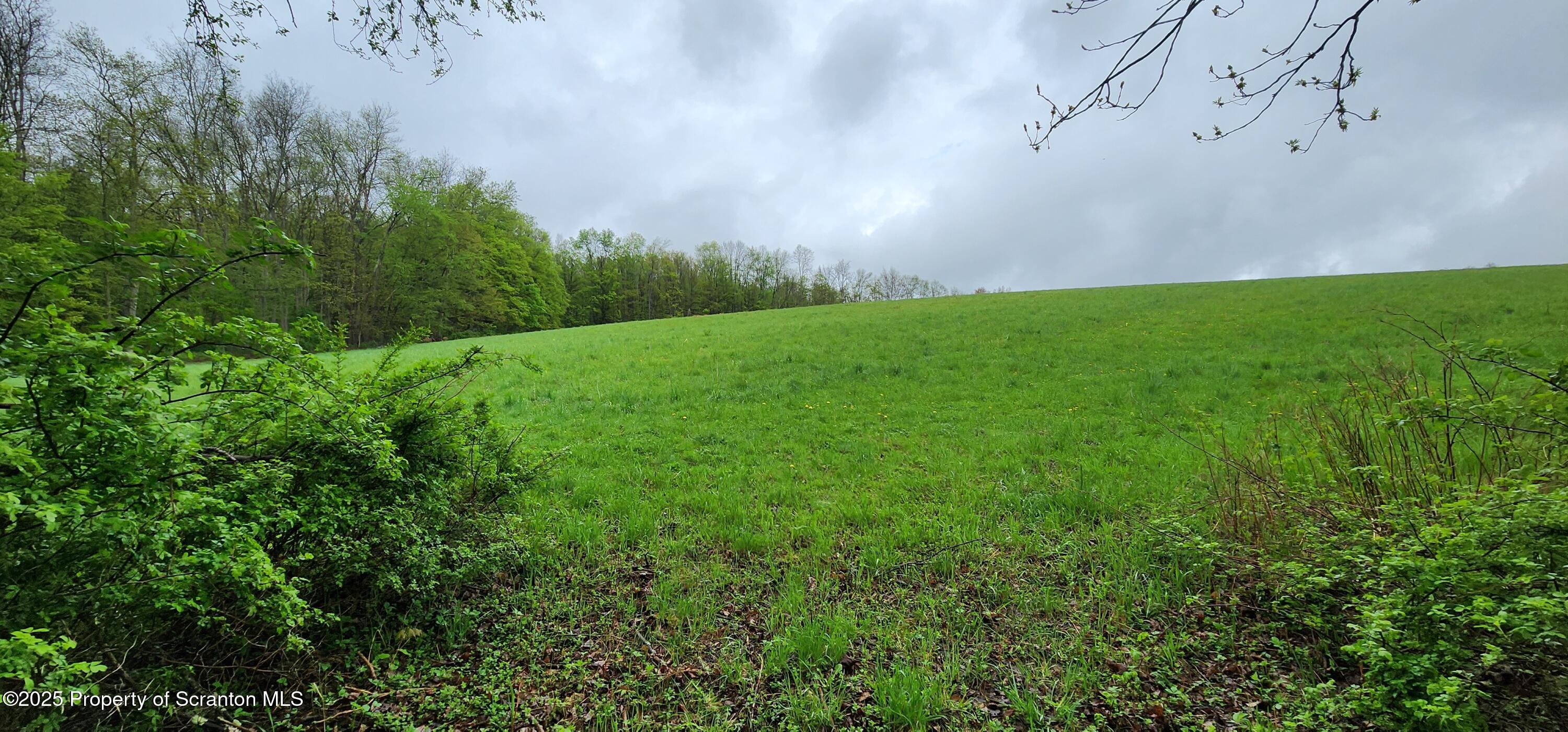1065 Orphan School Road Kingsley, PA 18826 - Photo 17 of 53 20250503_130914