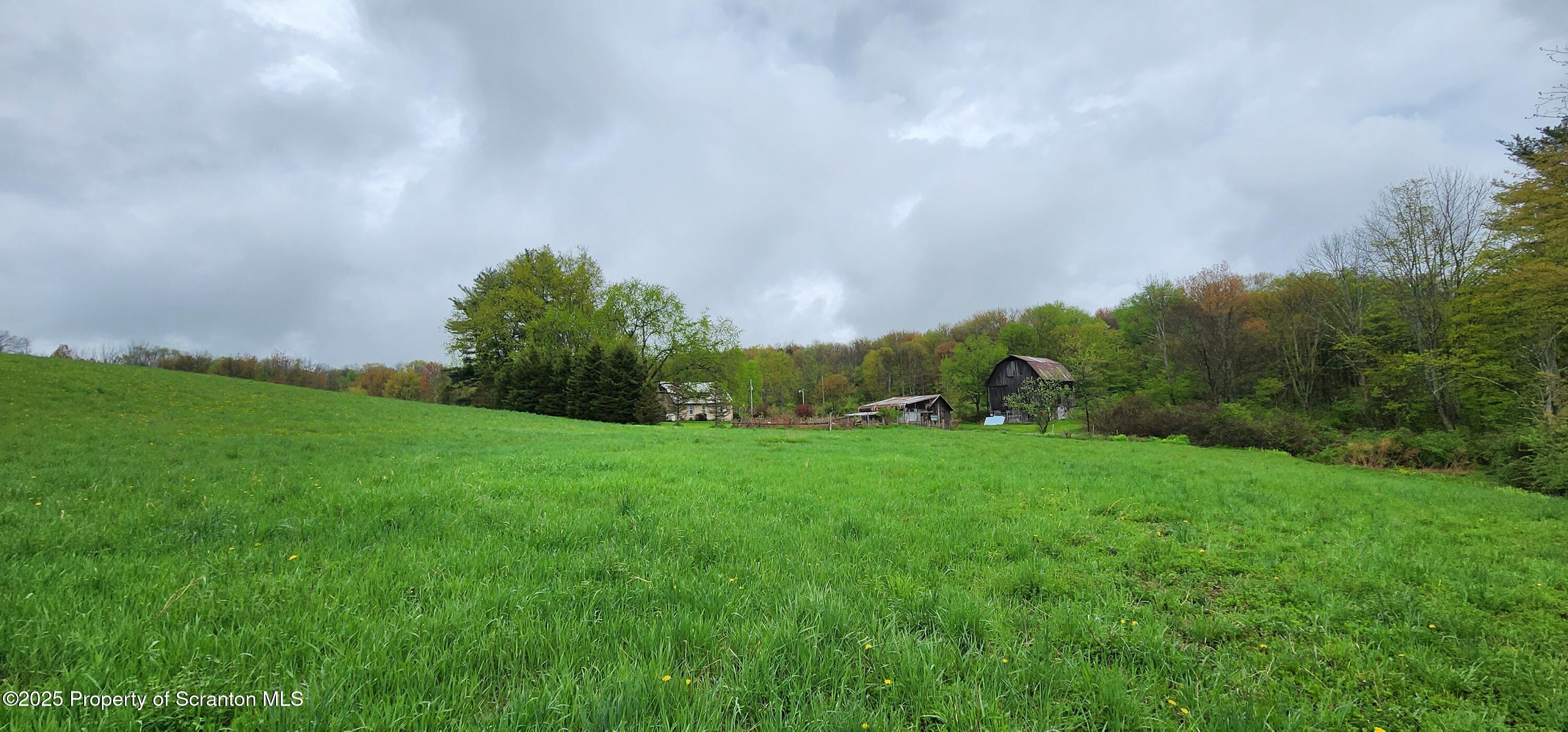 1065 Orphan School Road Kingsley, PA 18826 - Photo 18 of 53 20250503_131222