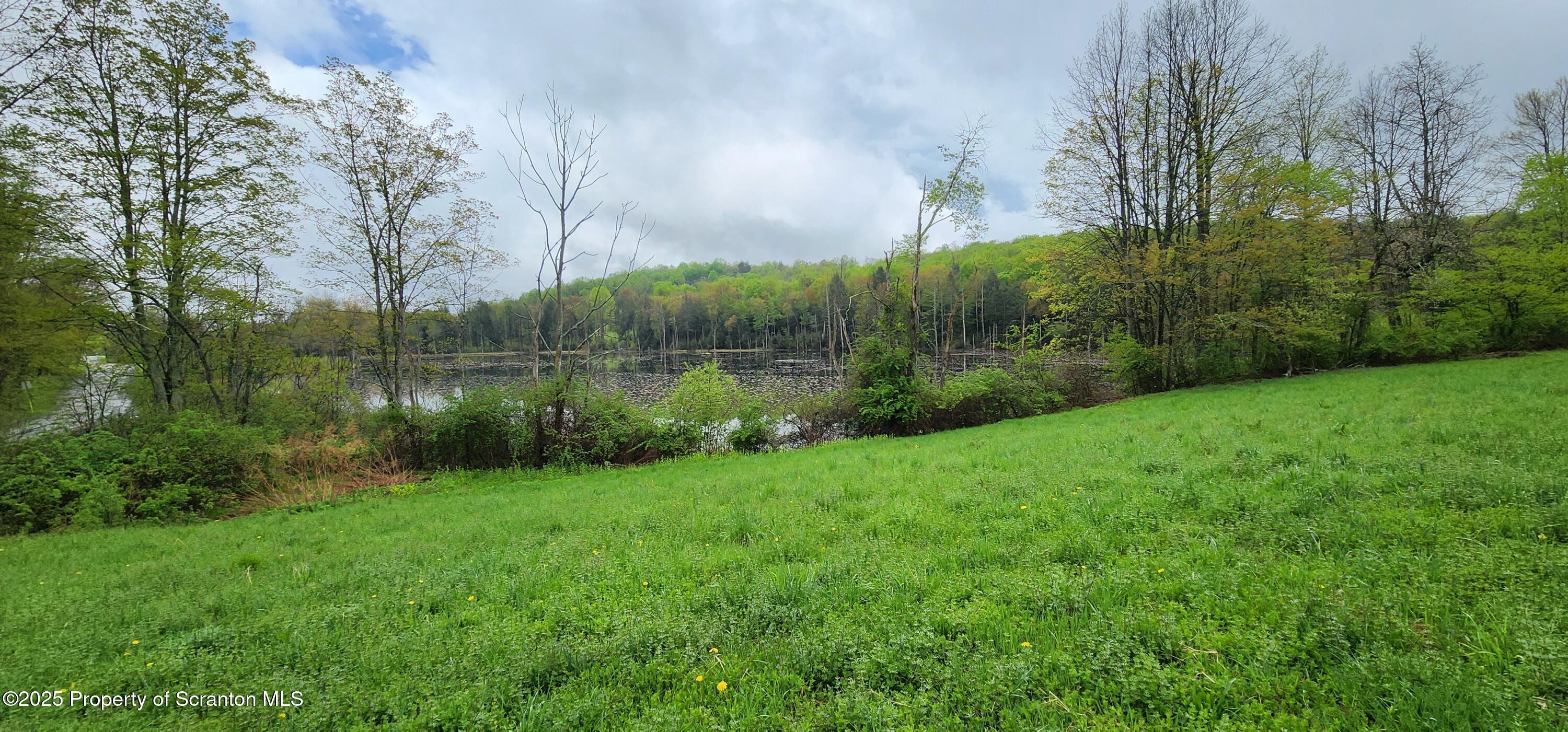 1065 Orphan School Road Kingsley, PA 18826 - Photo 19 of 53 20250503_131327