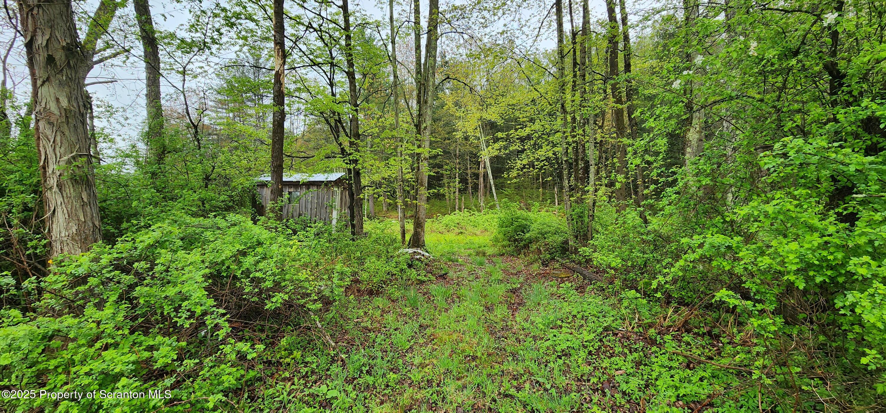 1065 Orphan School Road Kingsley, PA 18826 - Photo 7 of 53 20250503_130759