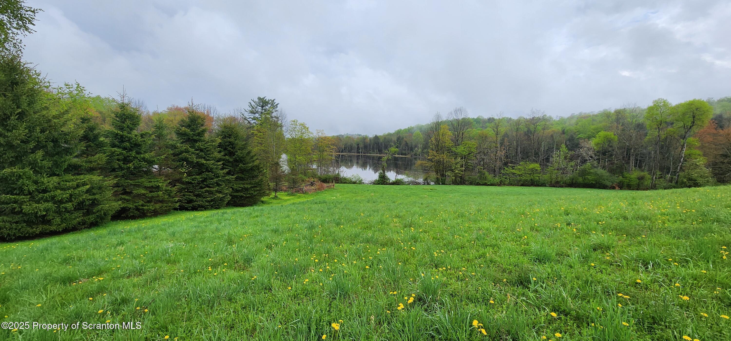 1065 Orphan School Road Kingsley, PA 18826 - Photo 8 of 53 20250503_130206
