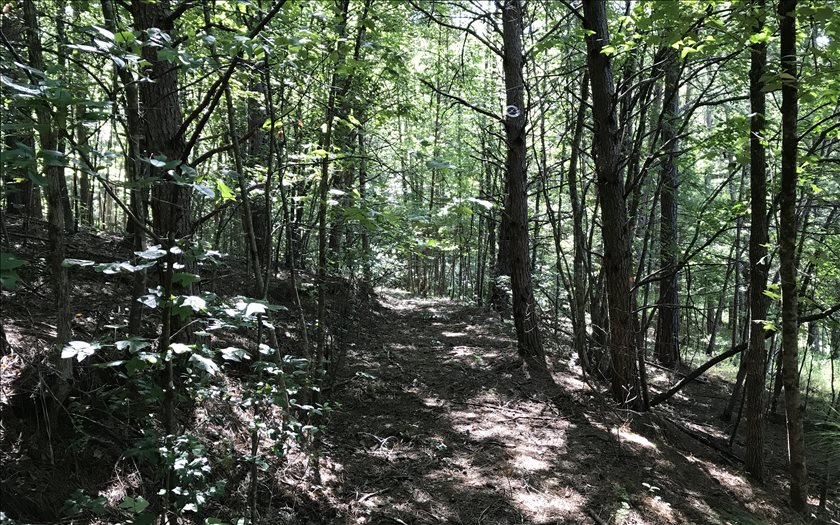0 Berger Road Murphy, NC 28906 - Photo 1 of 1 Main View
