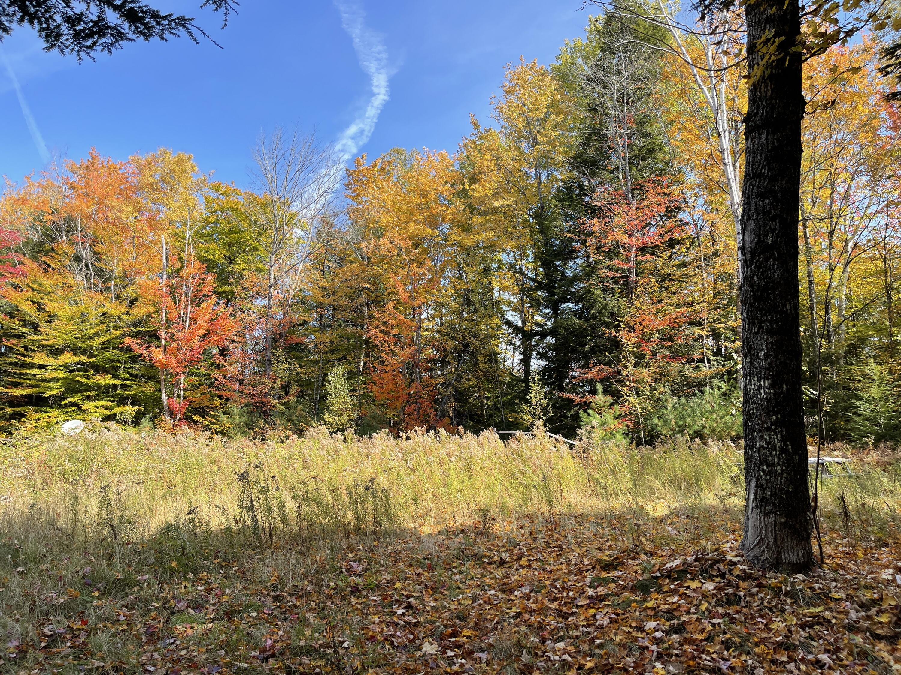 81 Parkman Road Garland, ME 04939 - Photo 1 of 24 IMG_7378