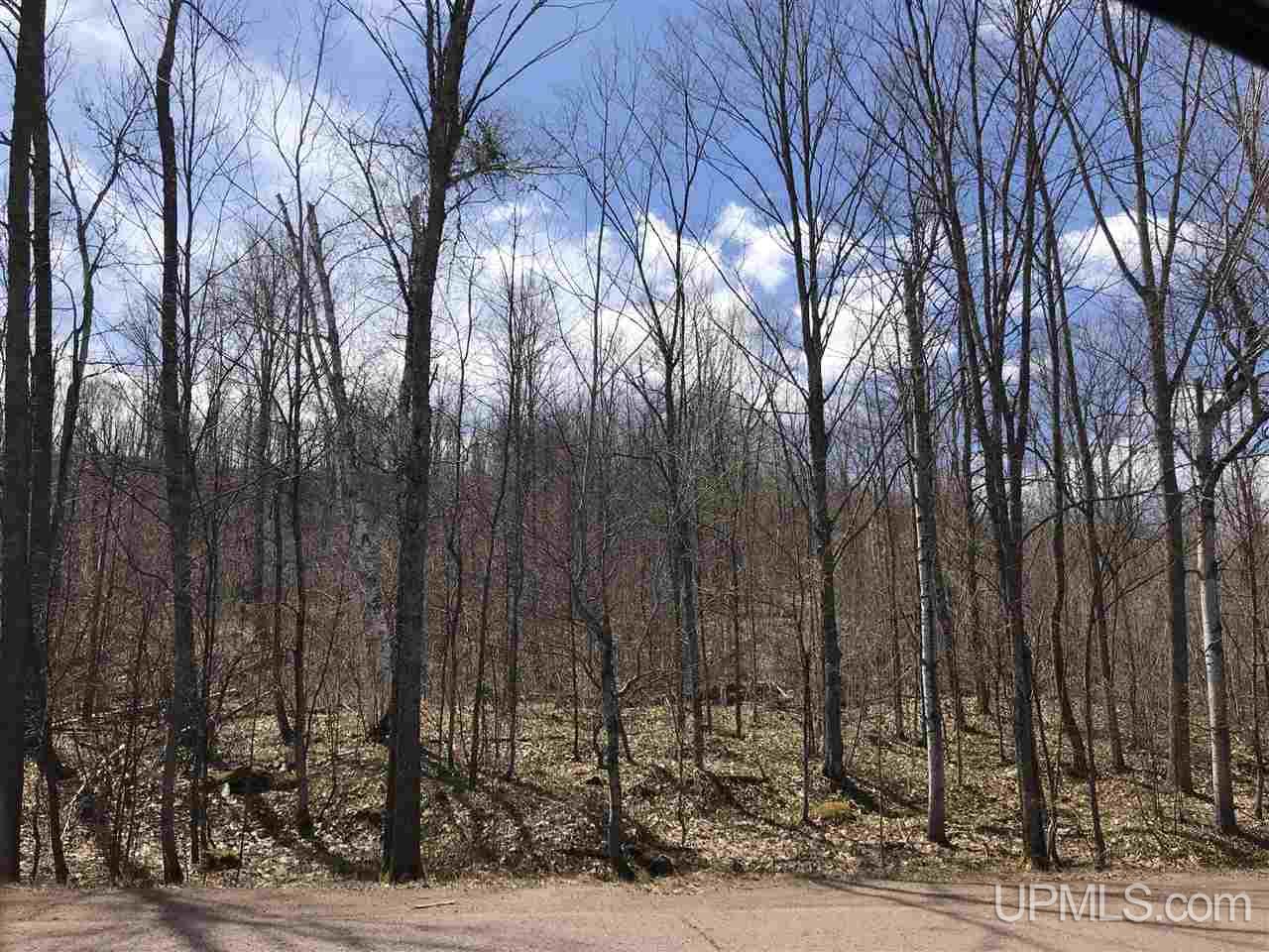Tbd County 519 Ramsay, MI 49959 - Photo 8 of 8