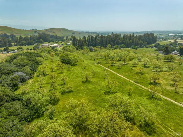 a view of a city with lush green forest
