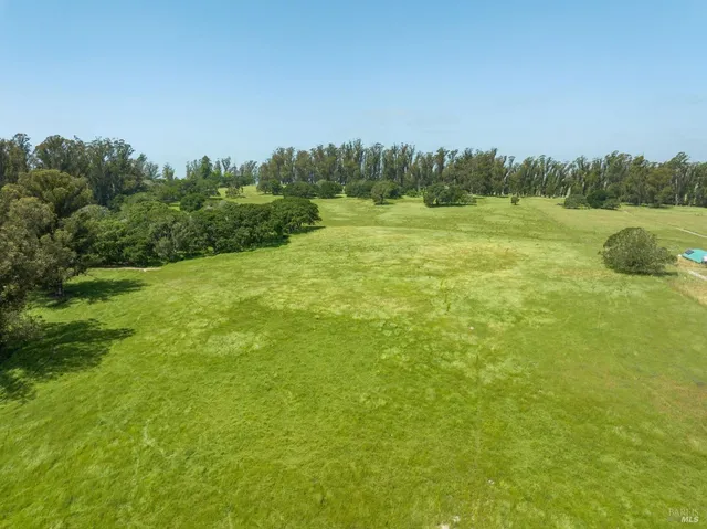 a view of a field with trees in the background