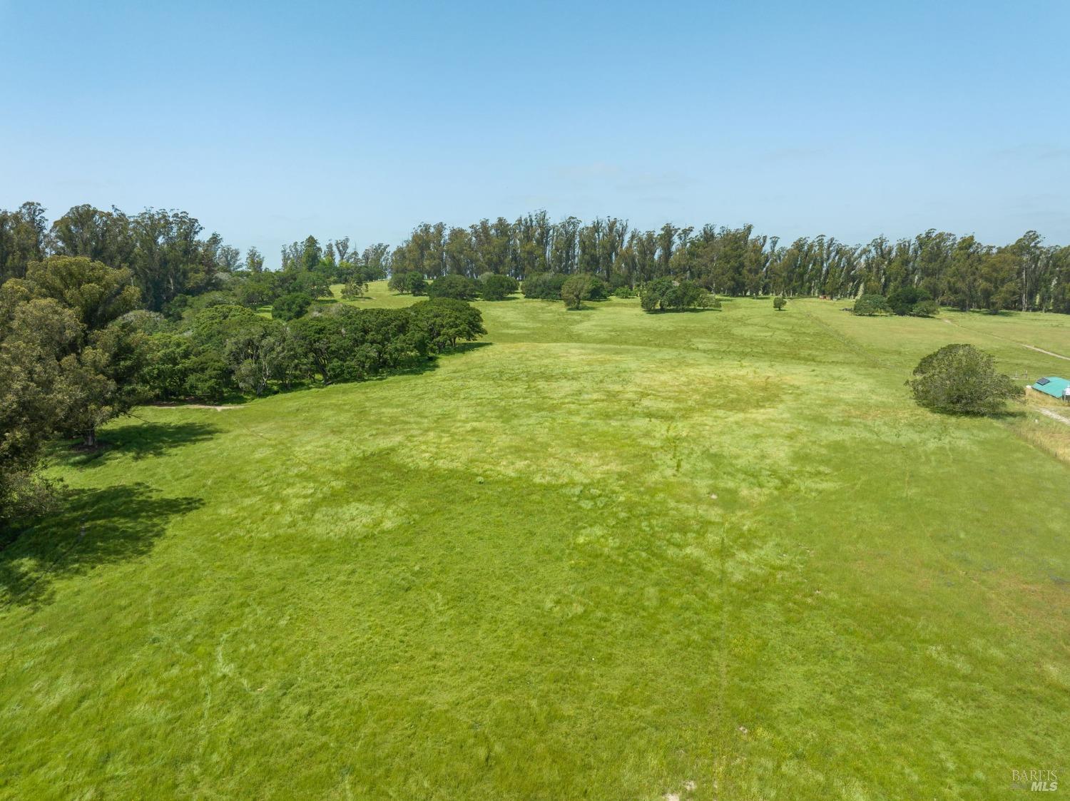 130 Jewett Road Petaluma, CA 94952 - Photo 13 of 31 a view of a field with trees in the background