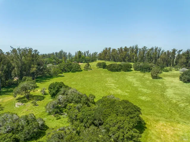 a view of a field with an trees