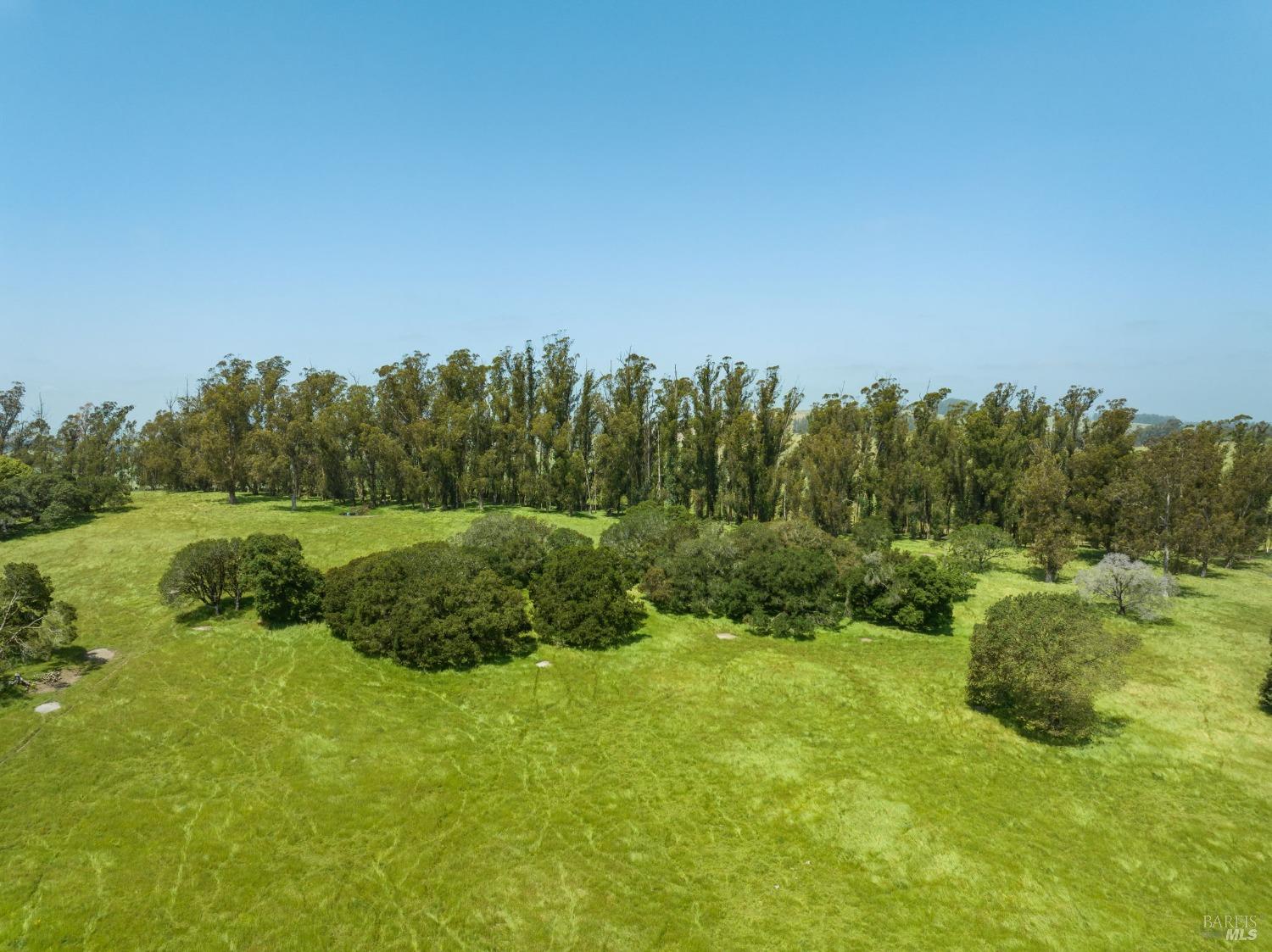 130 Jewett Road Petaluma, CA 94952 - Photo 15 of 31 a view of a lush green space