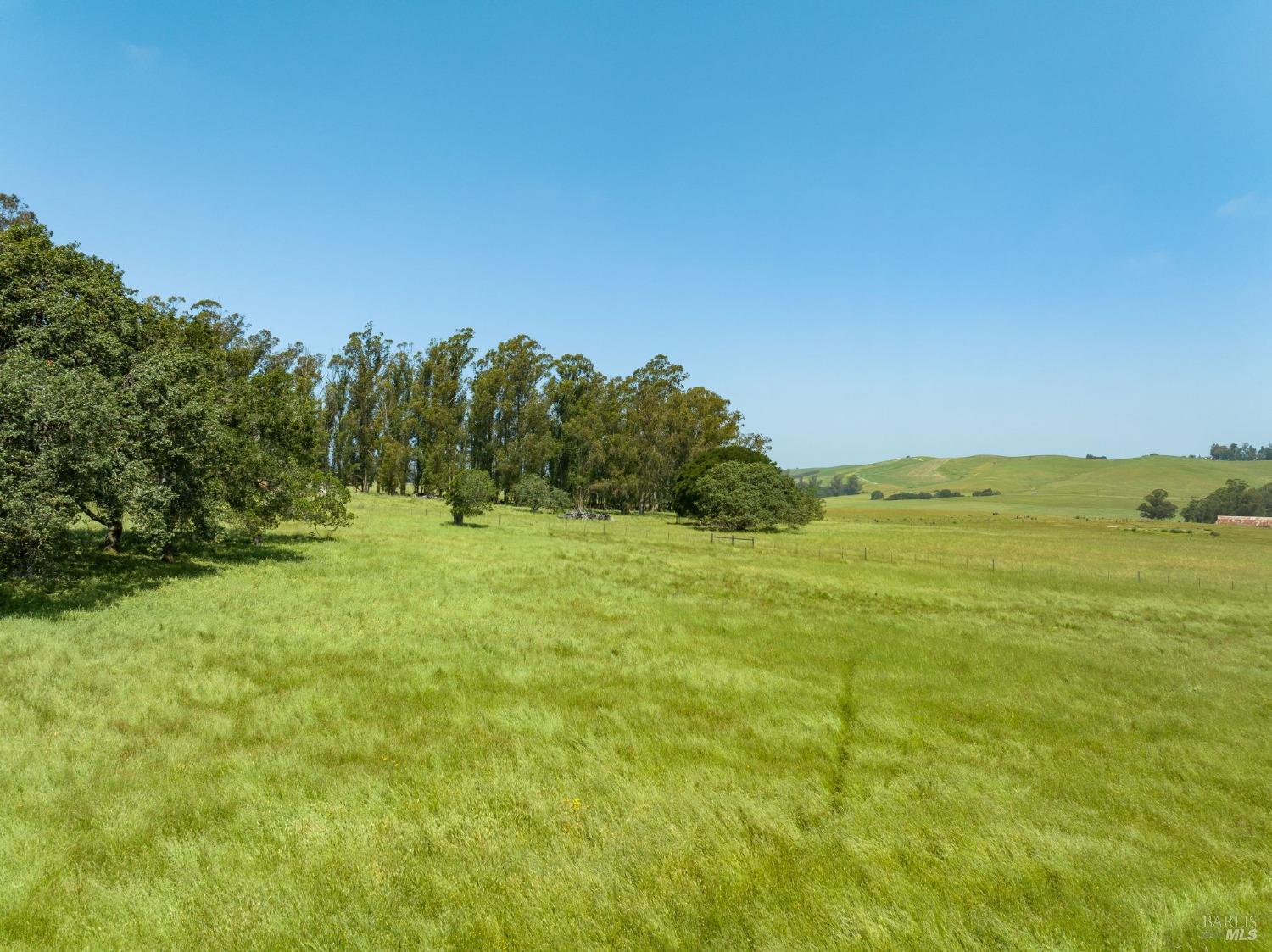 130 Jewett Road Petaluma, CA 94952 - Photo 16 of 31 a view of an ocean from a yard