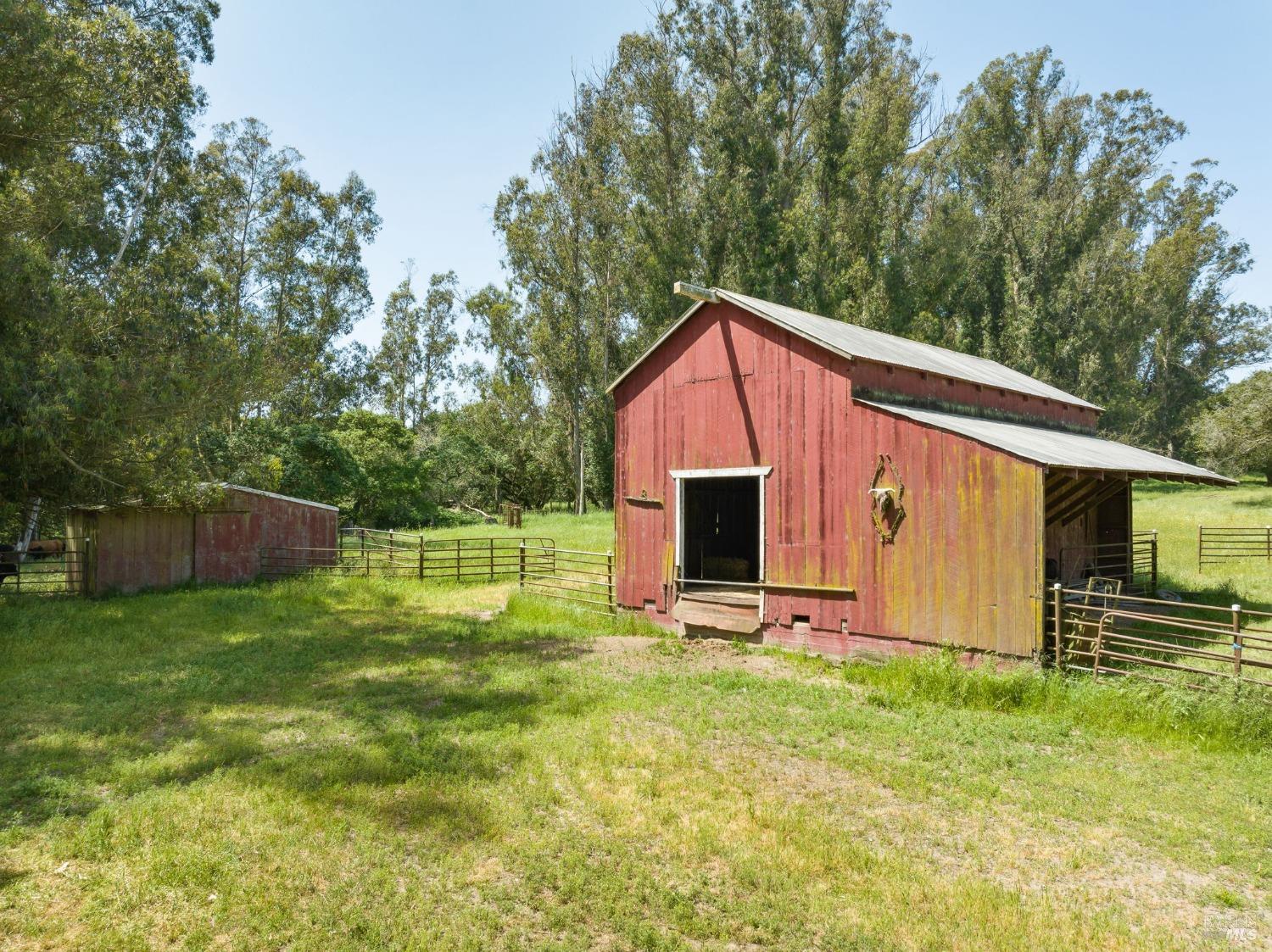 130 Jewett Road Petaluma, CA 94952 - Photo 18 of 31 a view of backyard with barbeque grill and a small yard