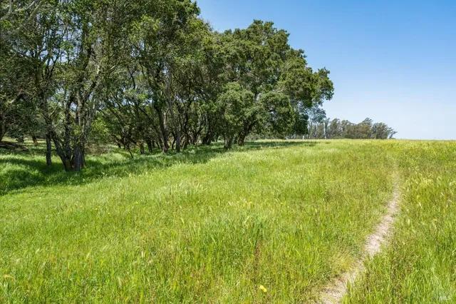 a view of an outdoor space and a yard