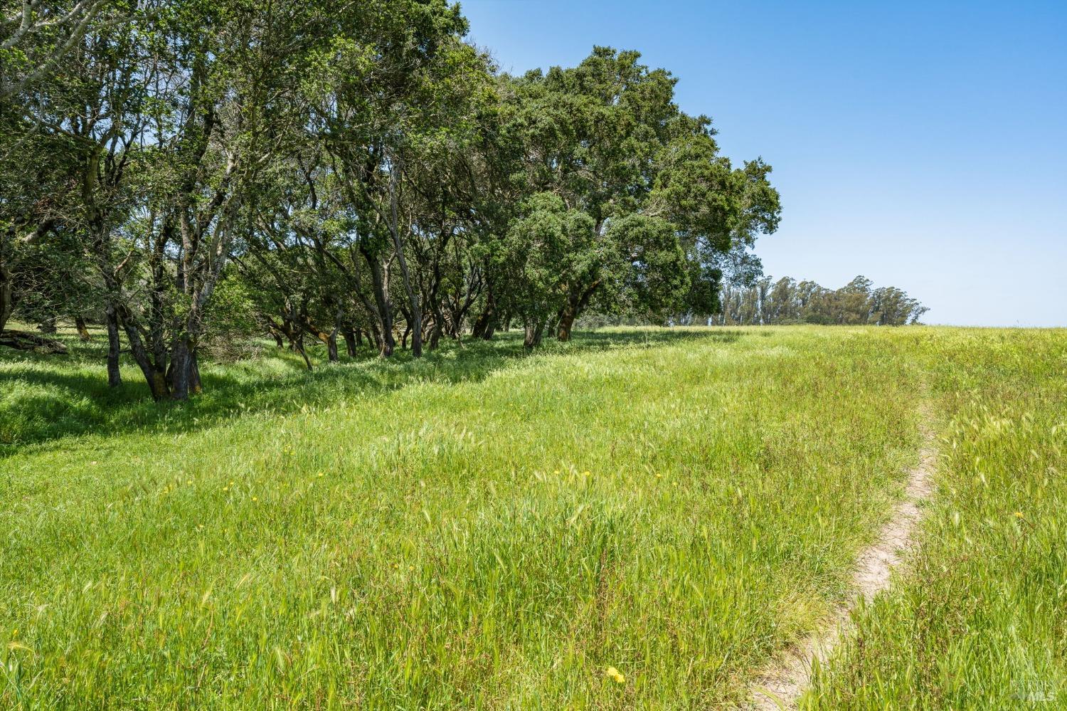130 Jewett Road Petaluma, CA 94952 - Photo 23 of 31 a view of an outdoor space and a yard