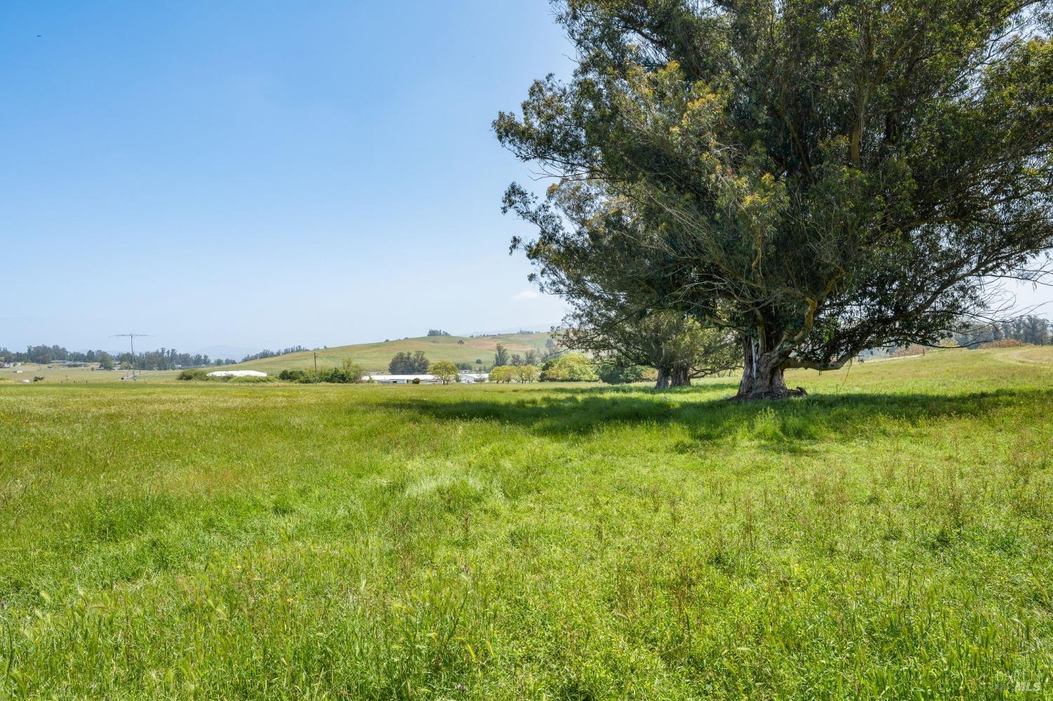 130 Jewett Road Petaluma, CA 94952 - Photo 5 of 31 a view of an ocean with a large trees