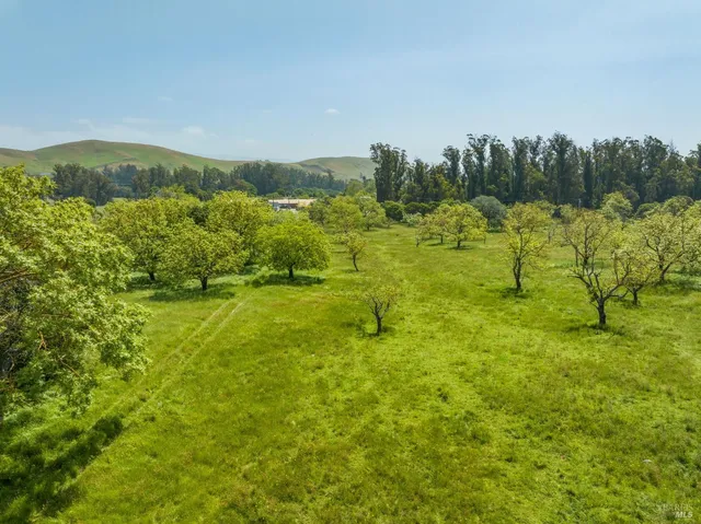 a view of an outdoor space and a yard