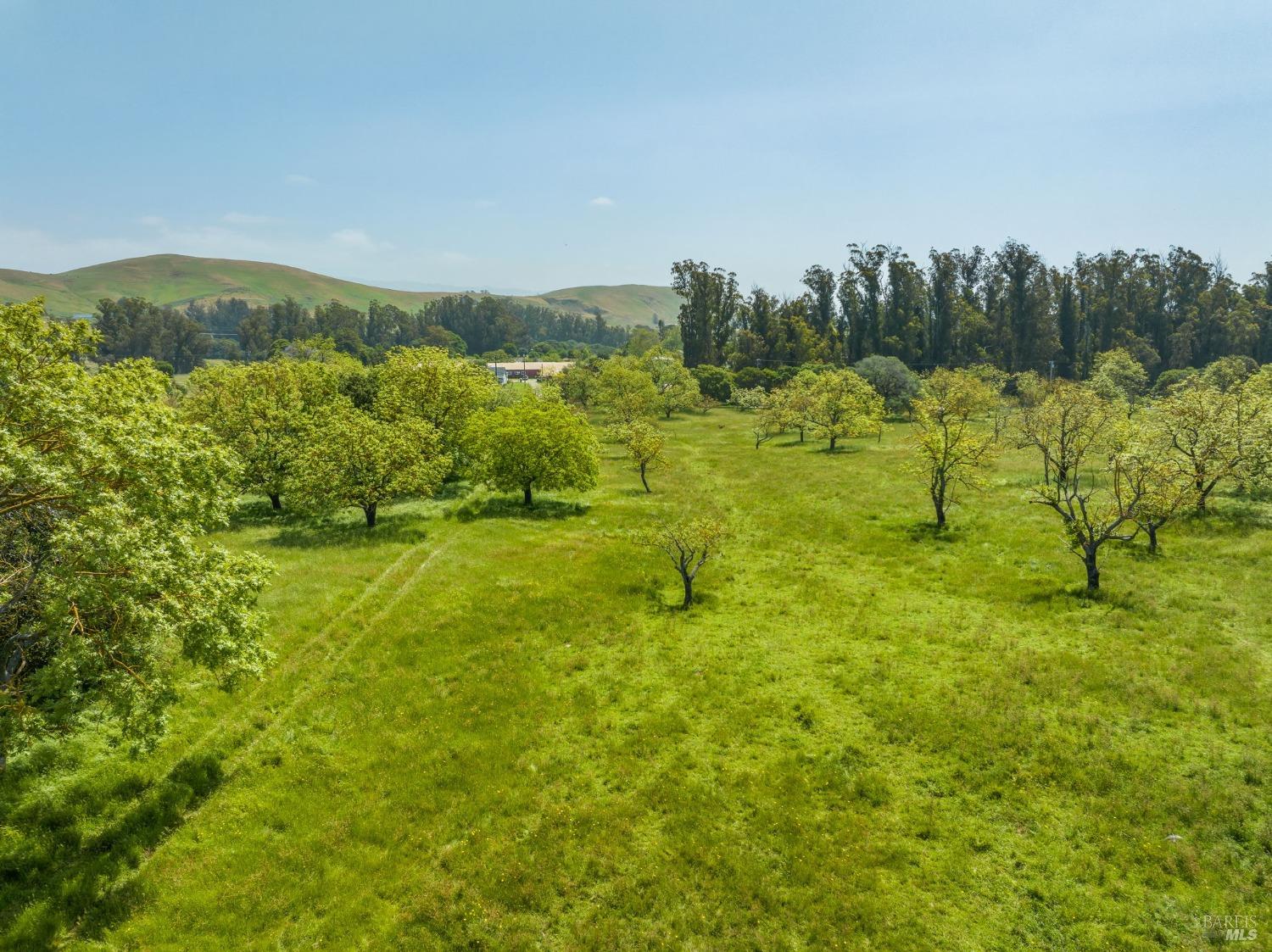 130 Jewett Road Petaluma, CA 94952 - Photo 7 of 31 a view of an outdoor space and a yard