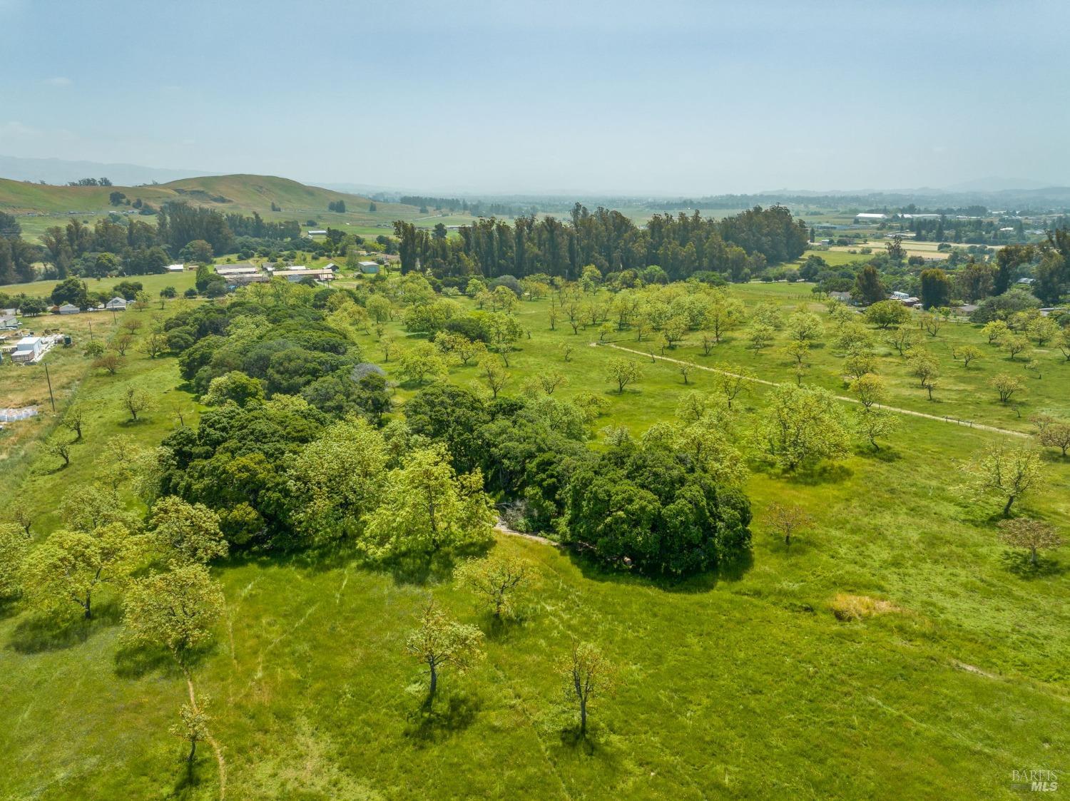 130 Jewett Road Petaluma, CA 94952 - Photo 8 of 31 a view of a lush green field