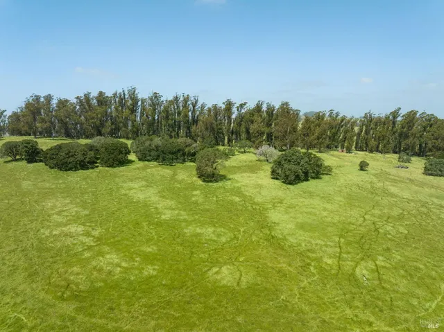a view of an outdoor space and a yard