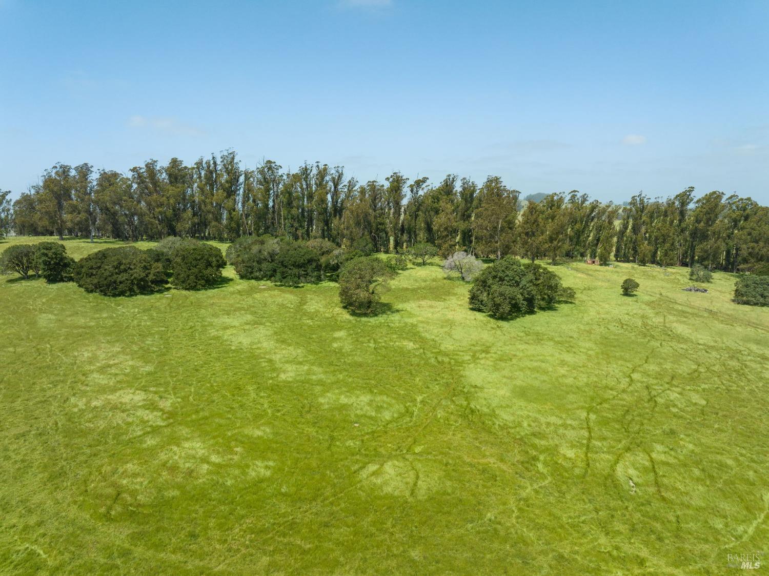 130 Jewett Road Petaluma, CA 94952 - Photo 9 of 31 a view of an outdoor space and a yard