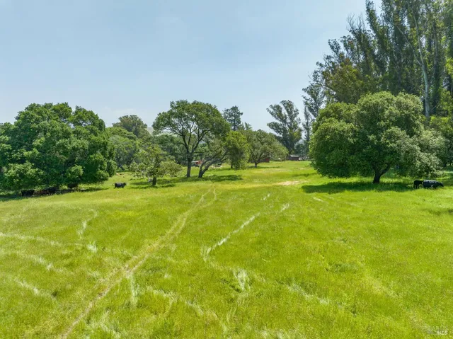 a view of field with trees in the background