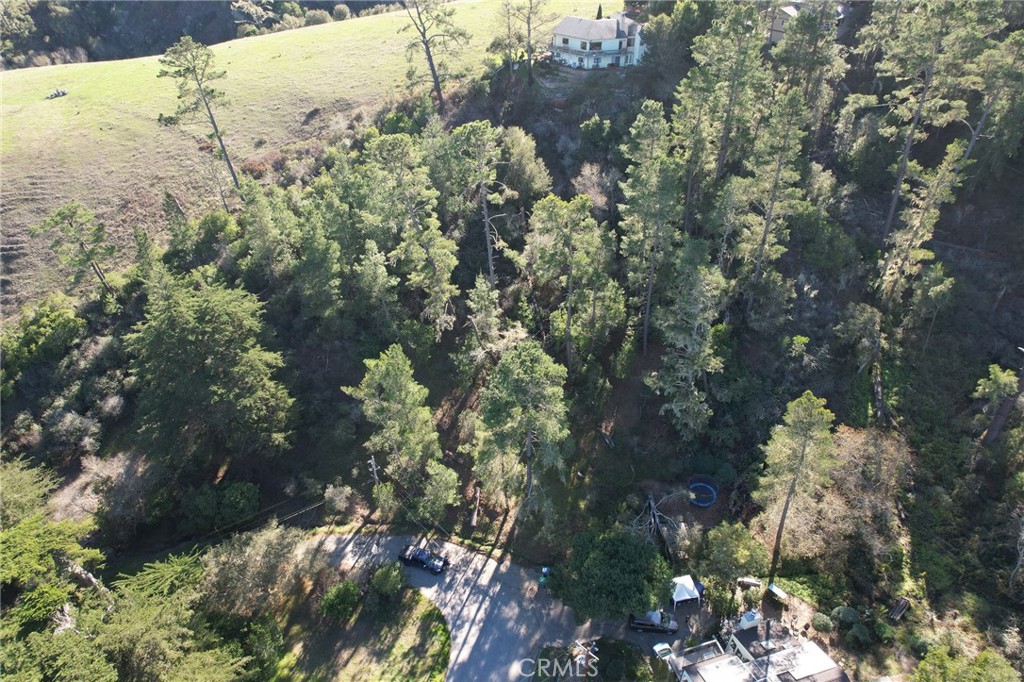 0 Gleason Street Cambria, CA 93428 - Photo 2 of 6 a view of a tree in a yard