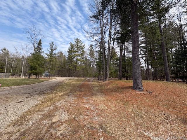 3615 Pineland Point Road Gladwin, MI 48624 - Photo 2 of 25