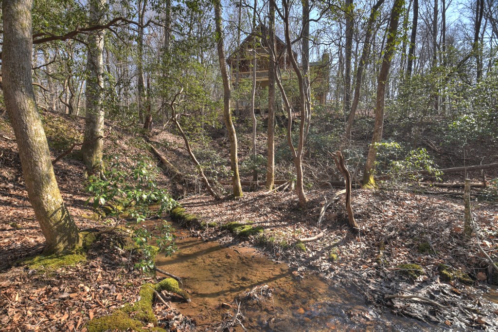 811 Mangum's Trail Blue Ridge, GA 30513 - Photo 6 of 70