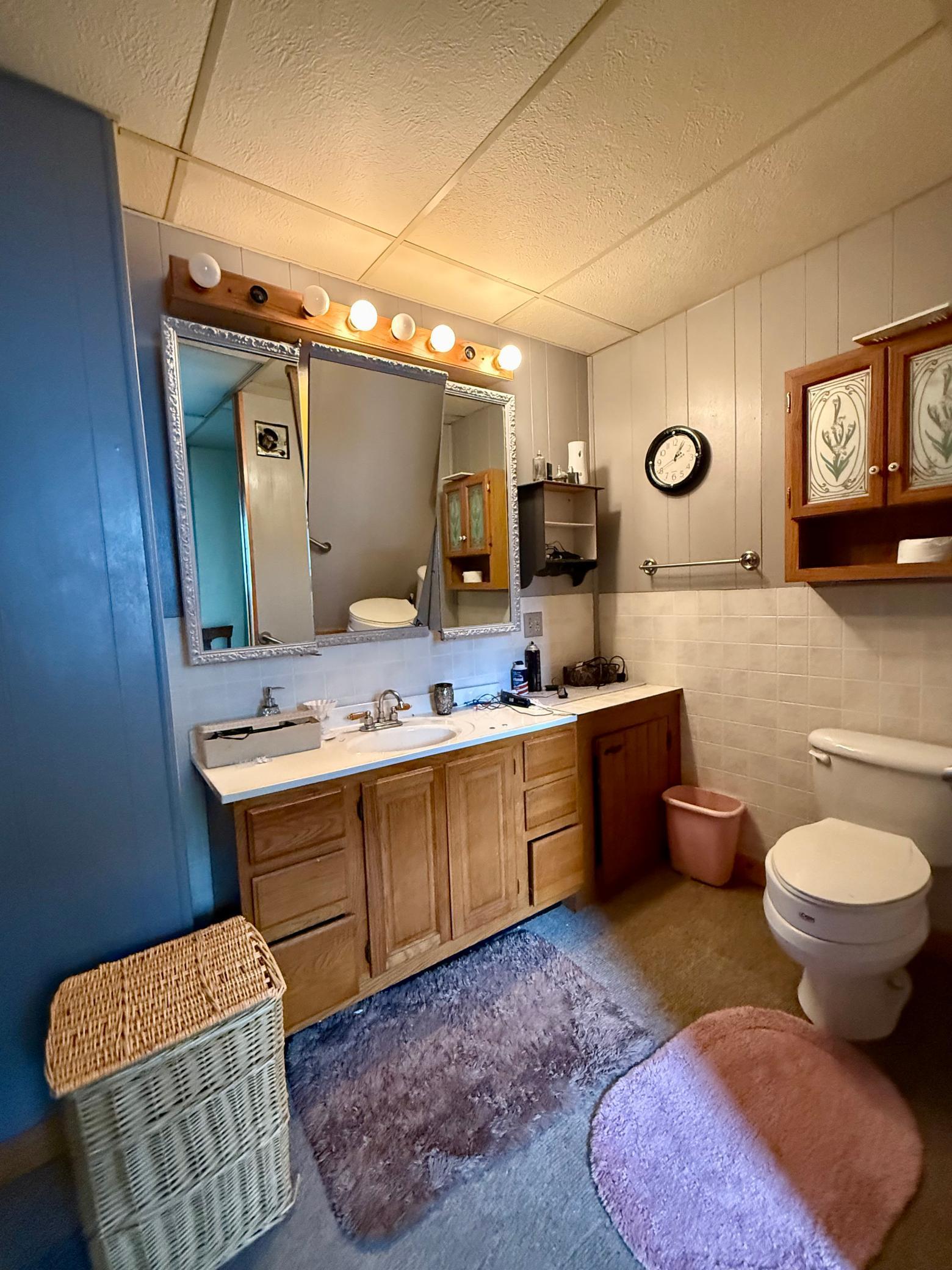 11328 County 11 Sauk Centre, MN 56378 - Photo 22 of 54